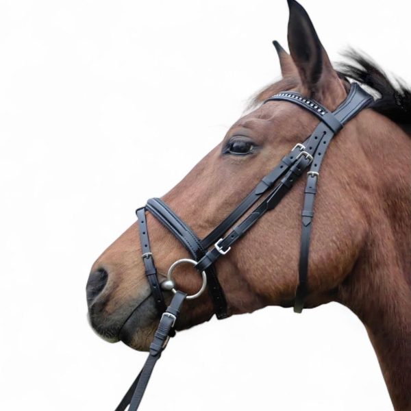 4b258f41-8721-4e94-81b7-e788d1040220 4b258f41-8721-4e94-81b7-e788d1040220