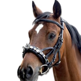 cee0a549-6590-48ef-a9f2-6ce1e5a995a6 cee0a549-6590-48ef-a9f2-6ce1e5a995a6