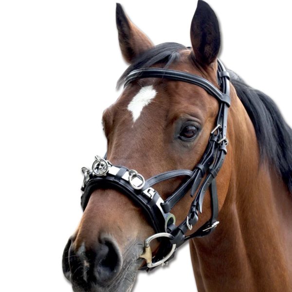 cee0a549-6590-48ef-a9f2-6ce1e5a995a6